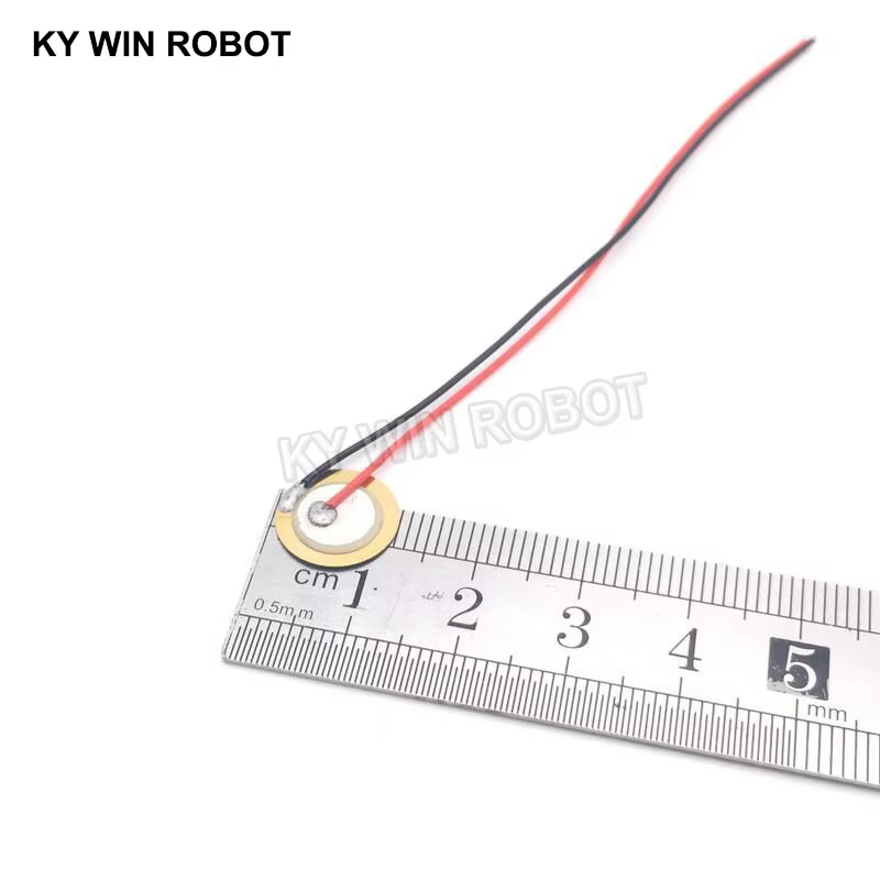 10 Piezas de Placas de Cerámic - Diy With Electronics reseña y precio